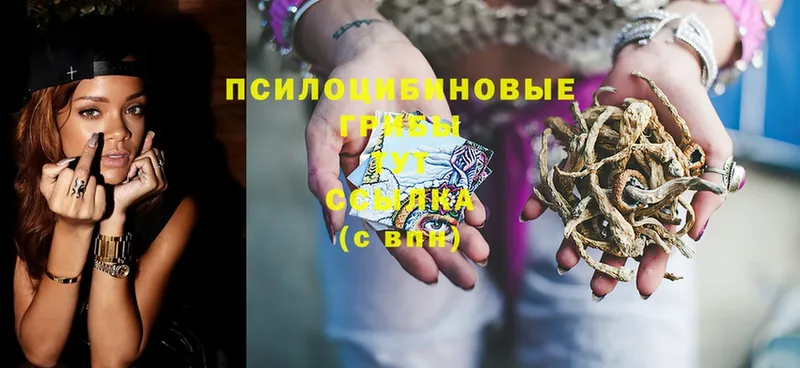 Галлюциногенные грибы Magic Shrooms  Курган 