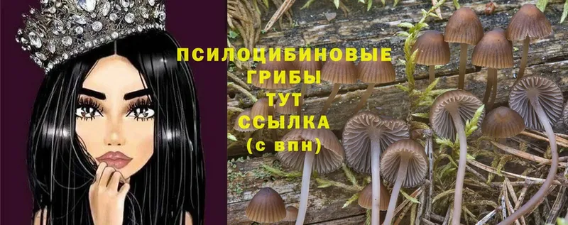 Галлюциногенные грибы MAGIC MUSHROOMS Курган